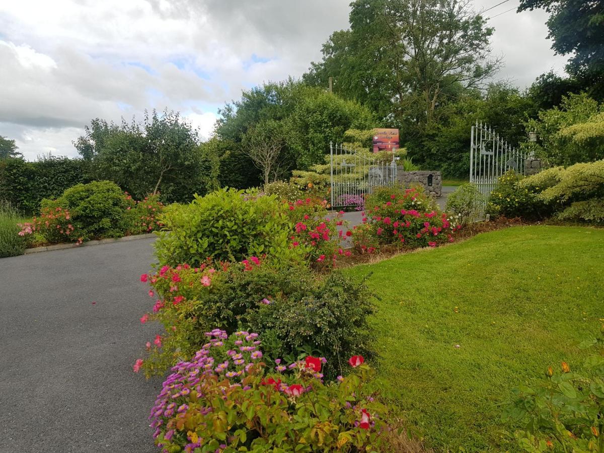 Corrib View